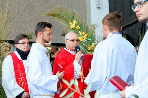 IMG 4736