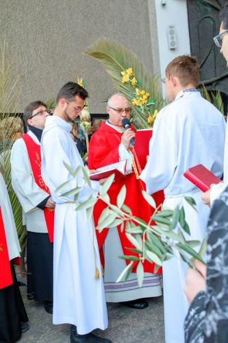 IMG 4737